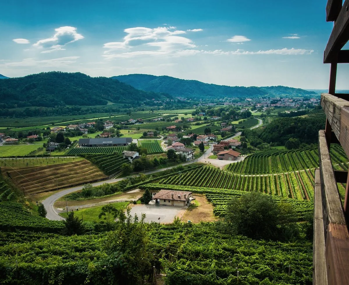 Vineyards of Dario Coos