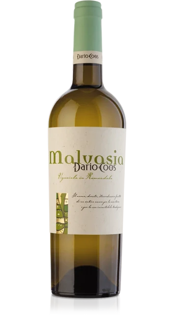 Malvasia